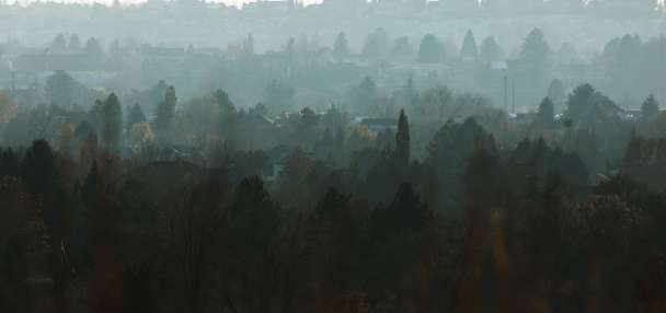 How poor air quality can impact your mental health