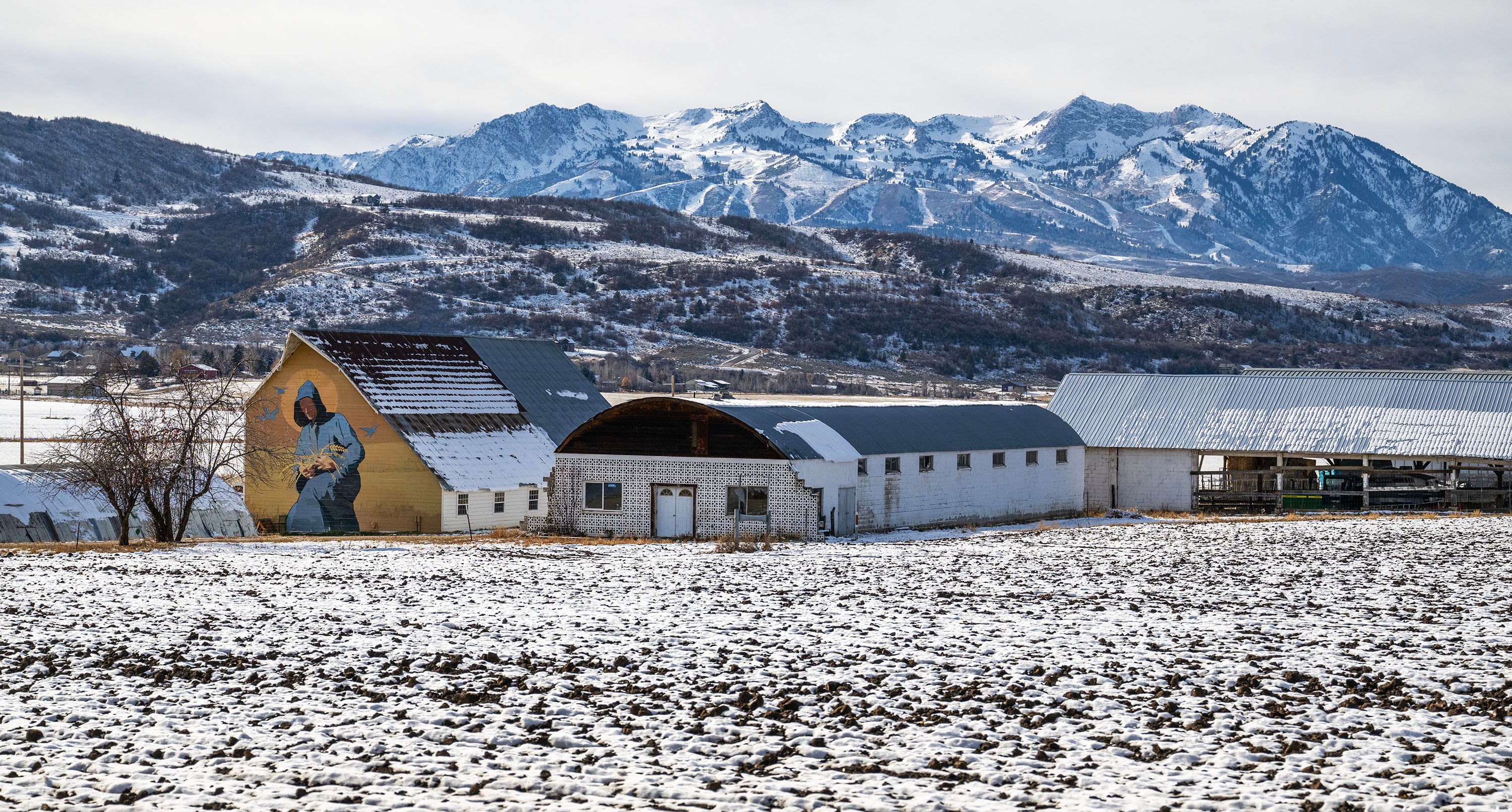 The Historic Monastery Farm in Huntsville on Nov. 25.