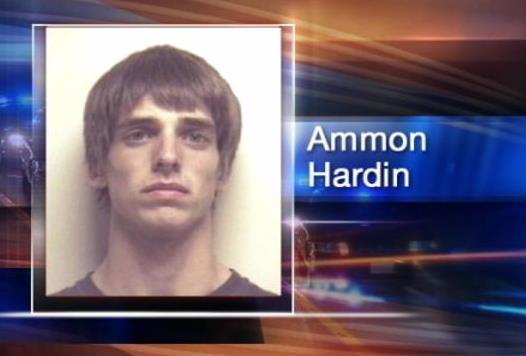 Police arrest man believed to be responsible for crime spree