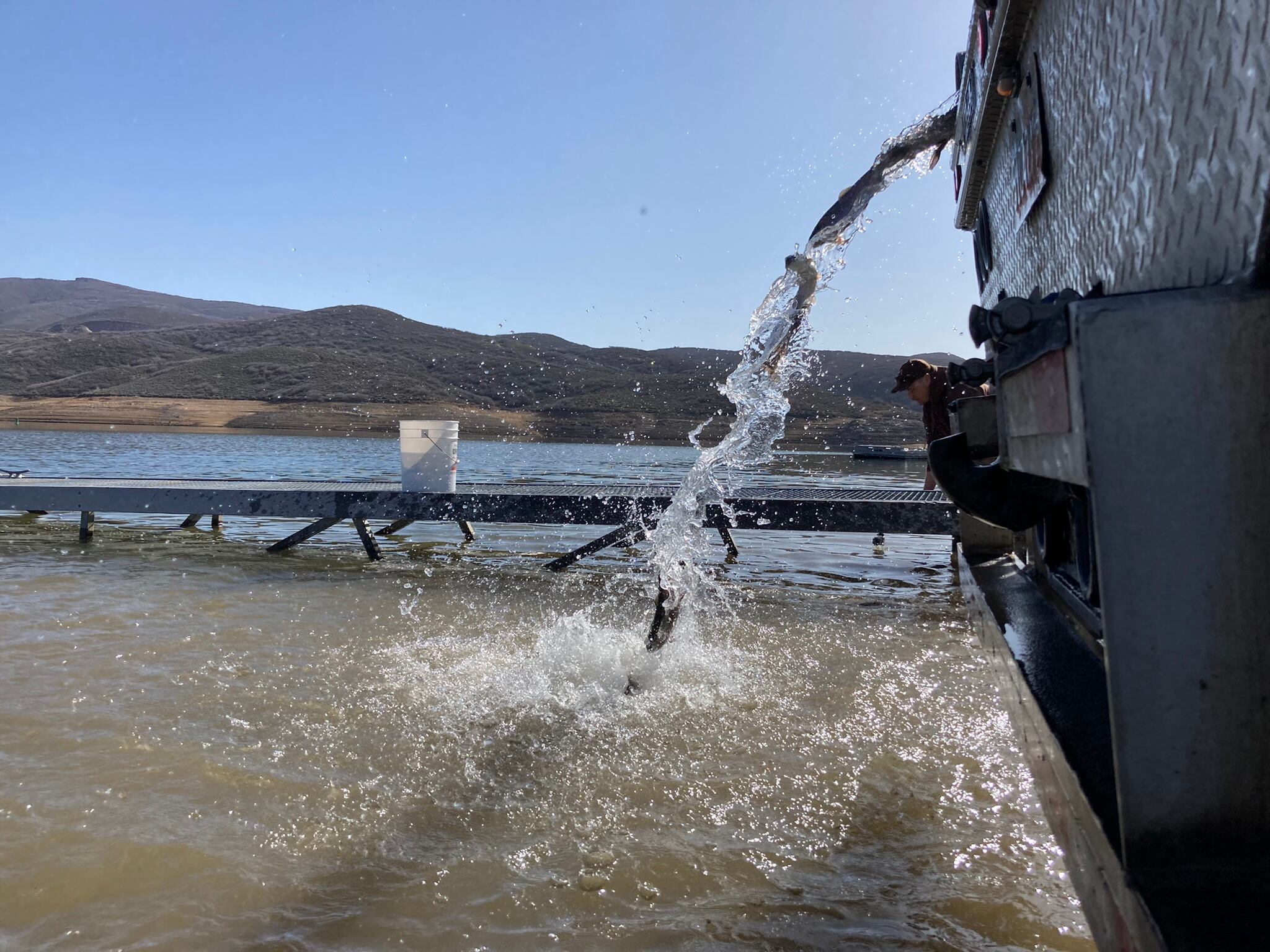 Utah Department of Wildlife Resources restocks Jordanelle Reservoir in this undated photo.