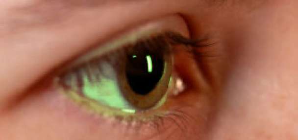 Can a test detect those lyin' eyes? A Utah company says yes. Judges aren't so sure