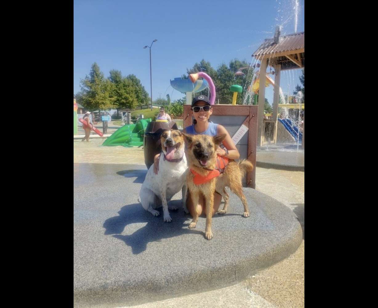 Nina Isturis-Gramly was walking in West Park in Roy with her two dogs, her newborn daughter, and her mom when her German Shepard mix named Ruby was shot and killed Tuesday.