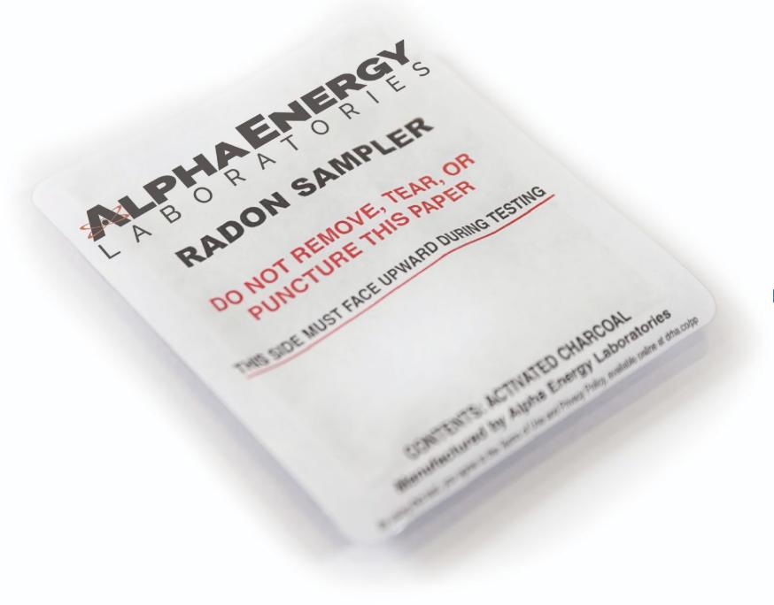 Radon can only be detected by testing for it. A simple radon charcoal test like this can help save a life.