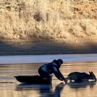 Have You Seen This? Ice fisherman rescues young deer on frozen reservoir