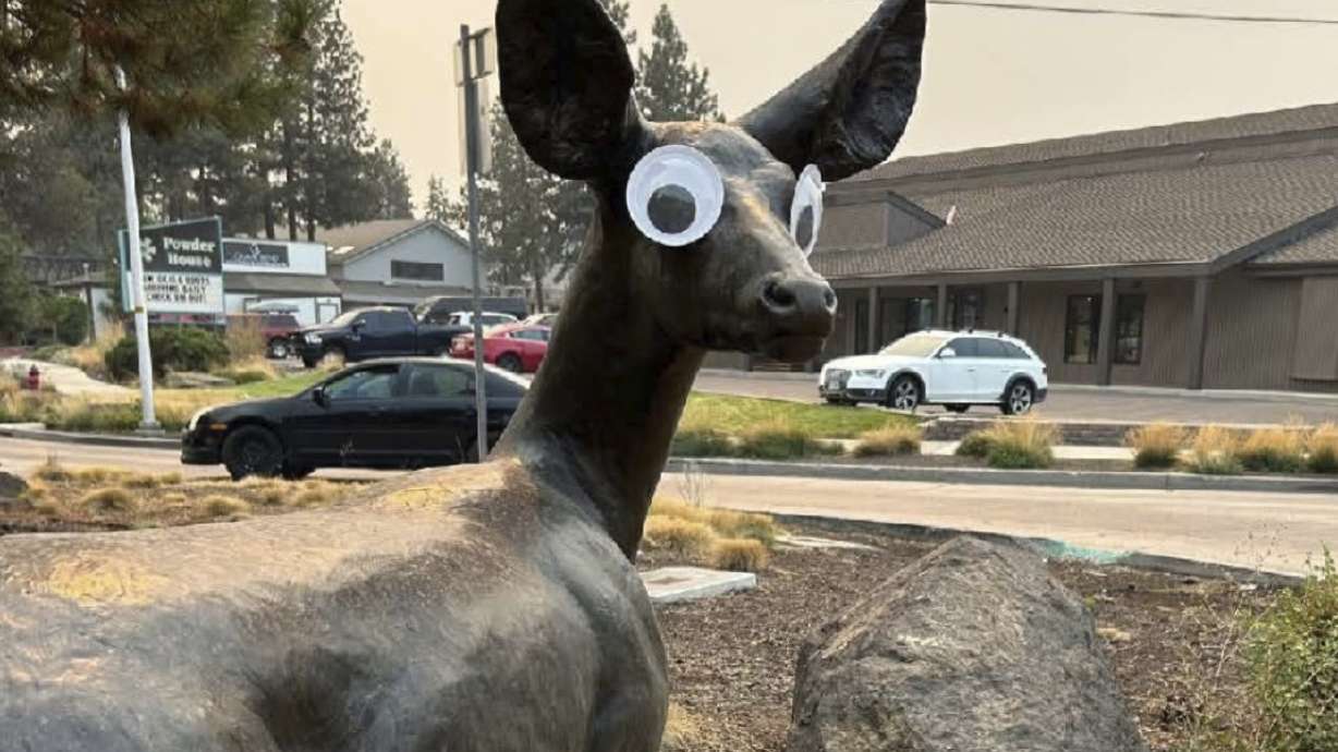 This image provided by the City of Bend, Oregon, shows a a set of googly eyes placed on a public art sculpture in Bend, Ore.