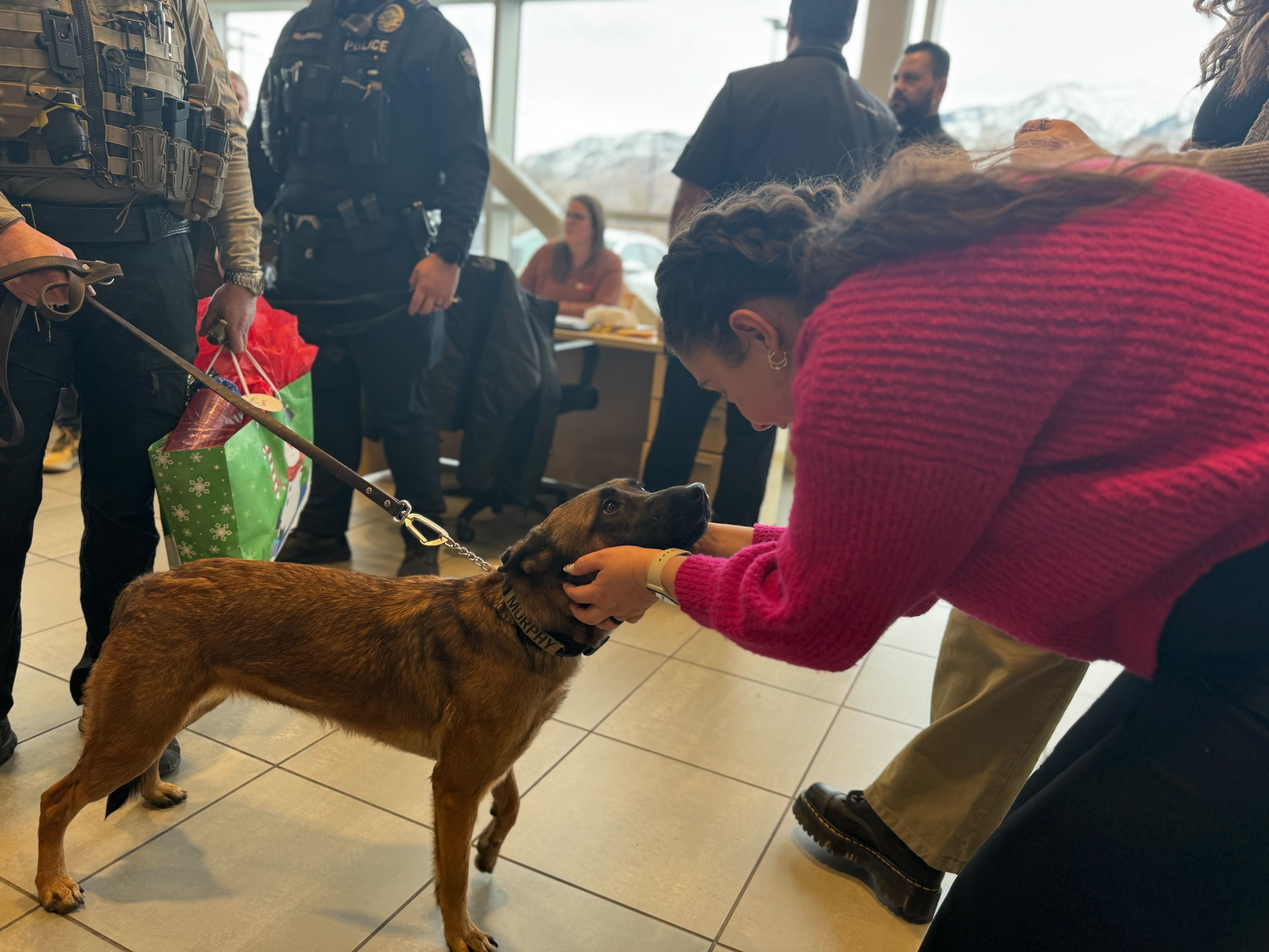 Murphy, a K-9 officer with the Weber County Sheriff's Office, accepts some thanks from a visitor to the Christmas party for K-9 dogs in Ogden on Monday afternoon.