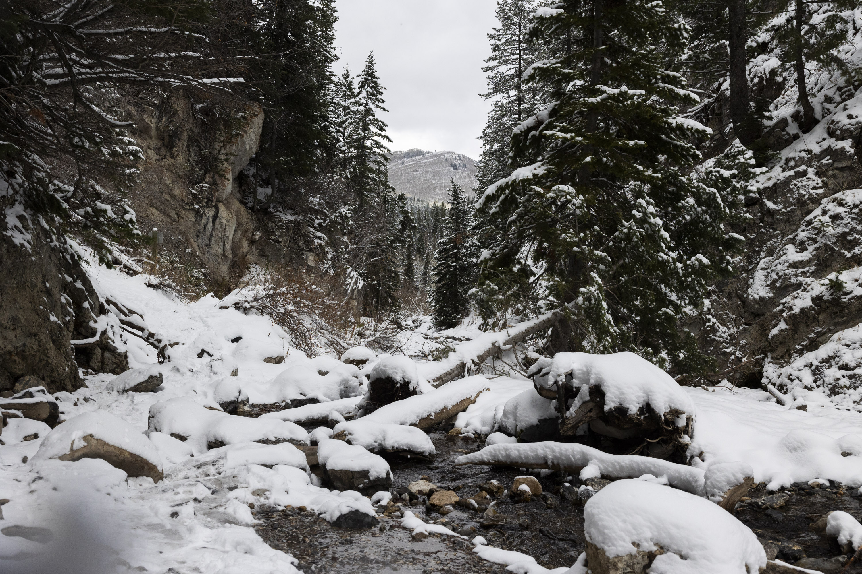 Snow in the Donut Falls area of Big Cottonwood Canyon on Nov. 3. Utah benefited from storms over the past few days, but its statewide snowpack remained at 82% of the mid-December median average on Tuesday.
