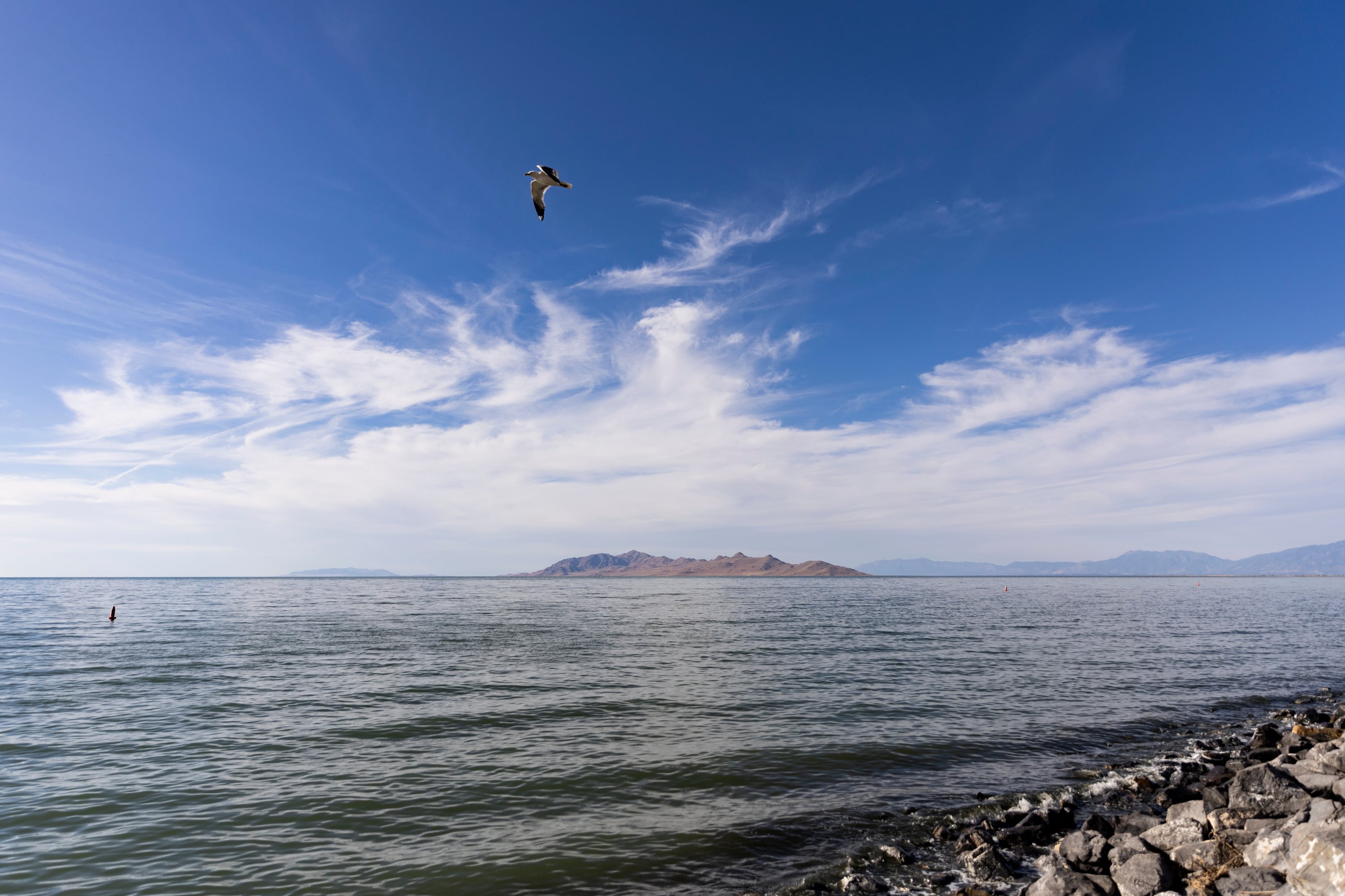 The levels of the Great Salt Lake may be in decline, but the year 2024 saw a tremendous uptick in efforts to help the world's eighth largest saline lake.