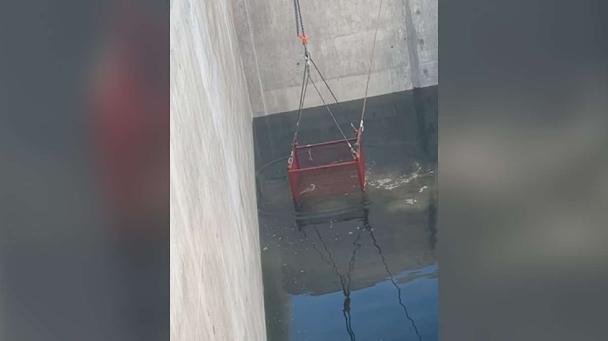 Construction crews use a basket attached to a crane to rescue a barn owl from the water of the Salt Lake City reclamation facility construction site in October.