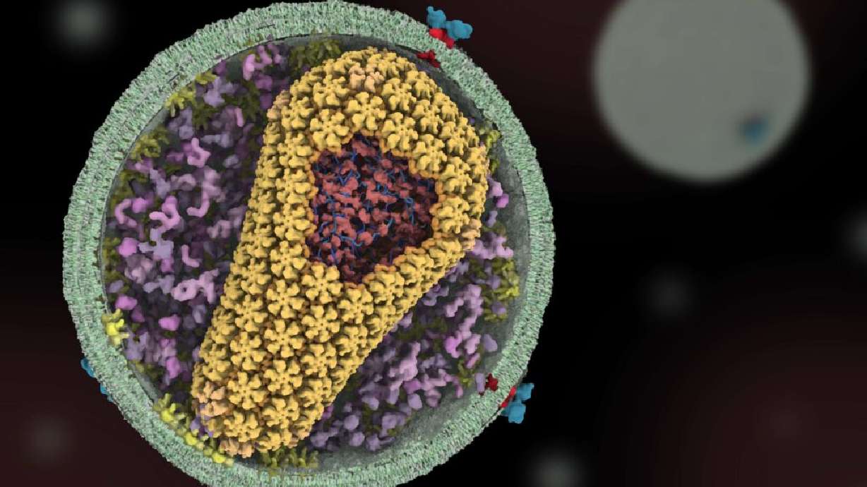 Research team from University of Utah in the lab enhancing HIV treatments