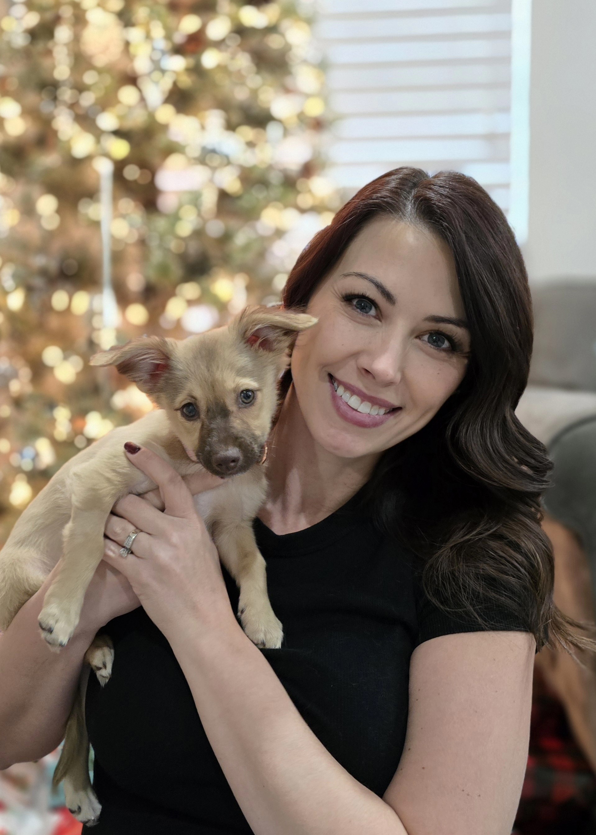 Utahn's viral TikTok tells her story of a puppy scam. What you should know to avoid fraud on KSL Pets