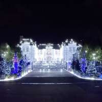 Have You Seen This? Dallas mansion goes viral for Christmas light show