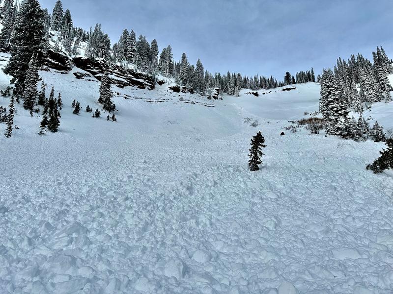 Man saves his brother caught in Logan Valley avalanche