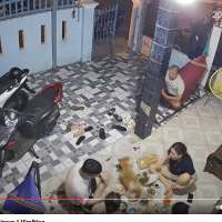 Have You Seen This? Dog utterly destroys dinner