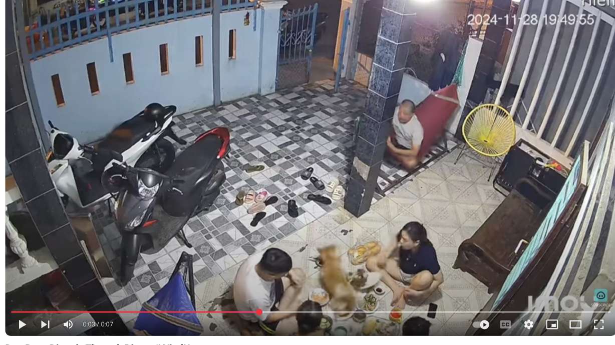 Here's why you never set up your dinner in the path of an energetic dog.