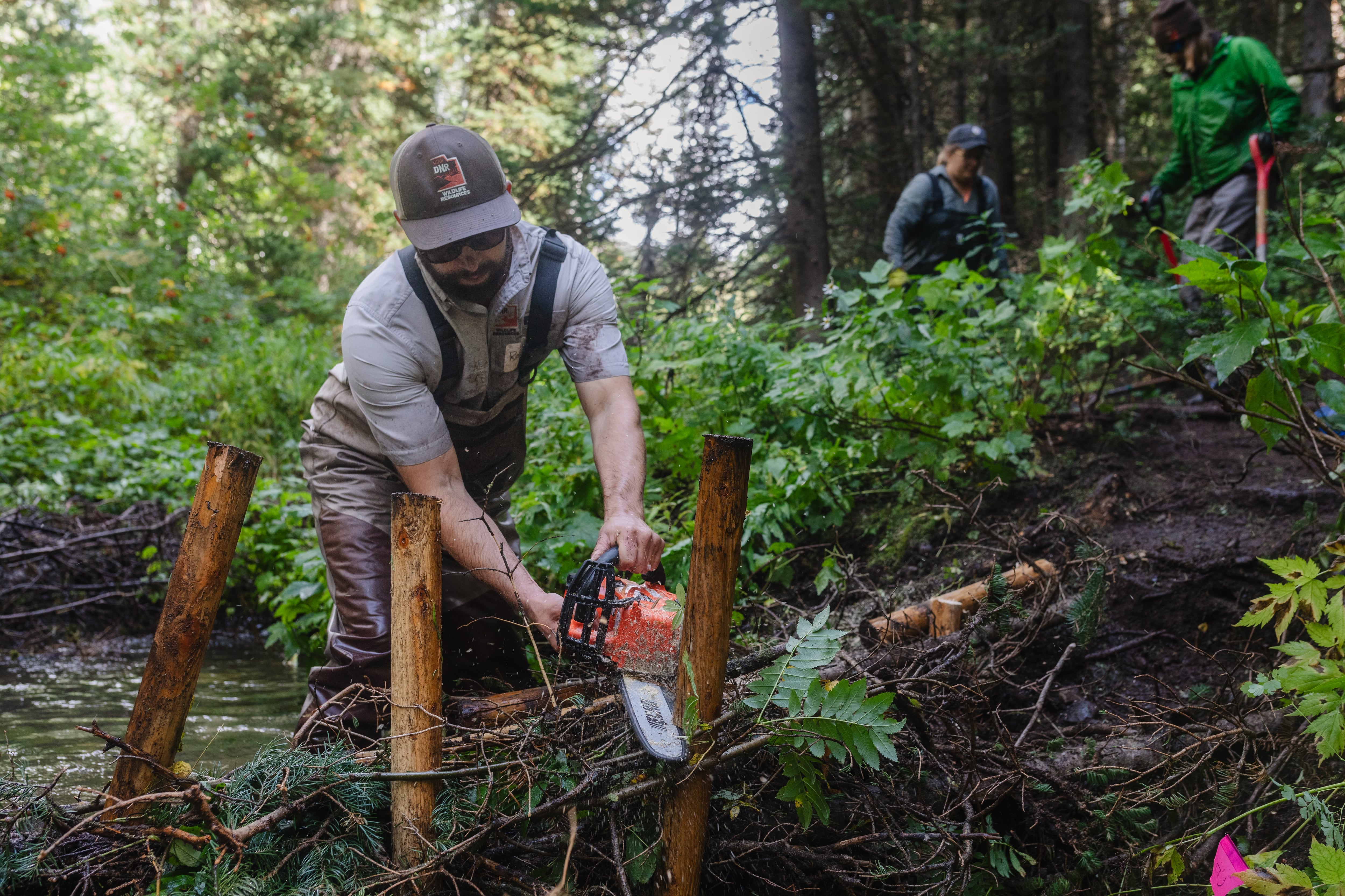 How a landscape restoration program is spurring change in the Beehive State