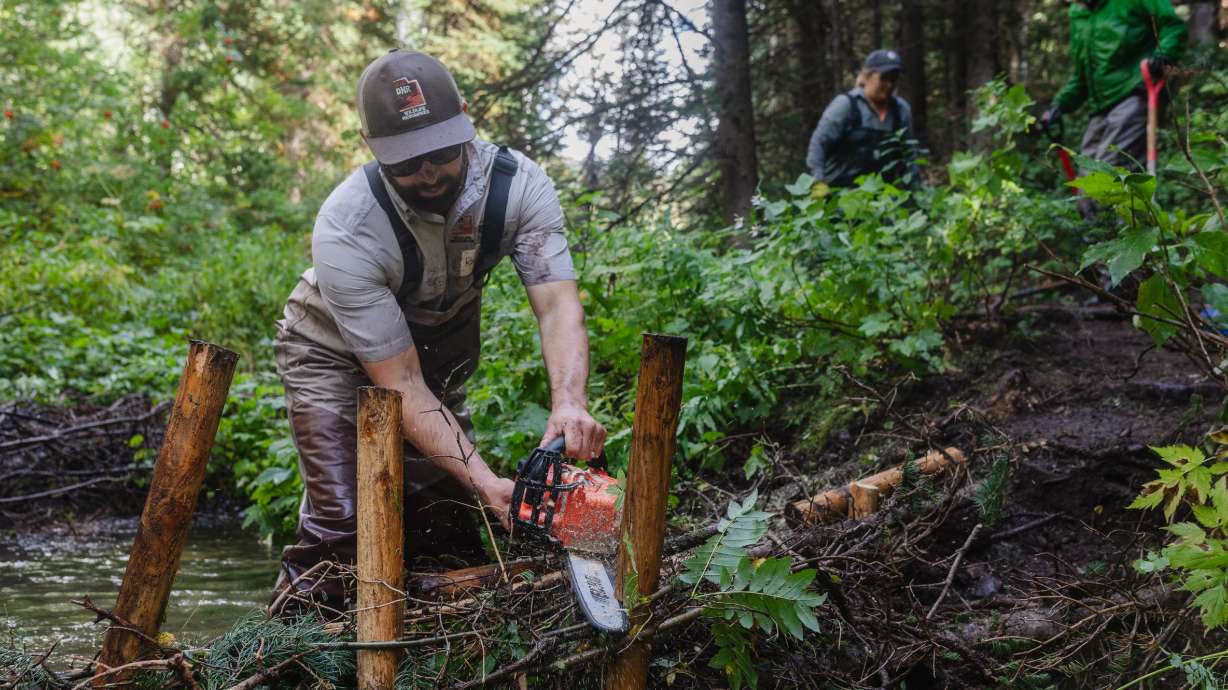 A member of the Department of Natural Resources works on a project in Millcreek on Sept. 13, 2023. A program operating in Utah for years has spurred progress across multiple landscapes.