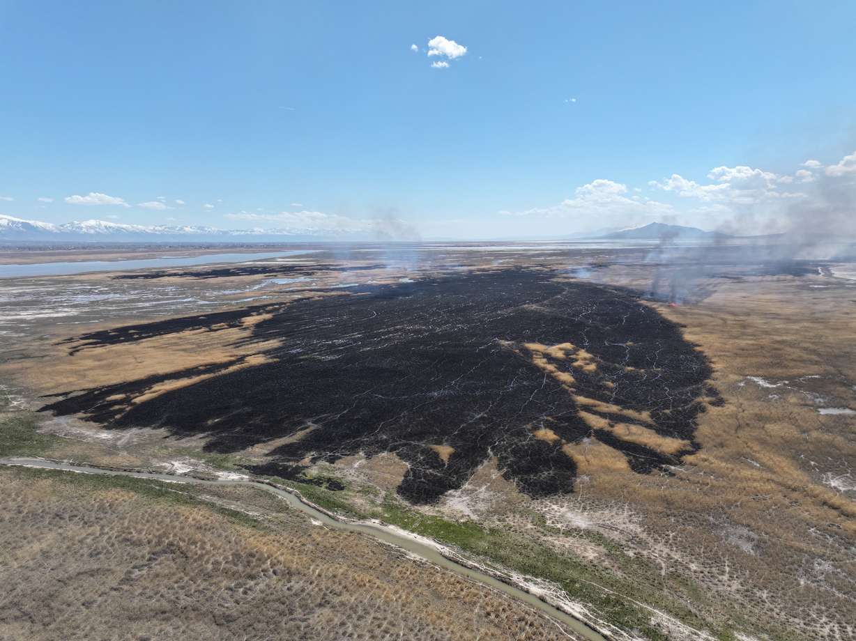 A prescribed burn by the Watershed Restoration Initiative is seen in this undated photo.