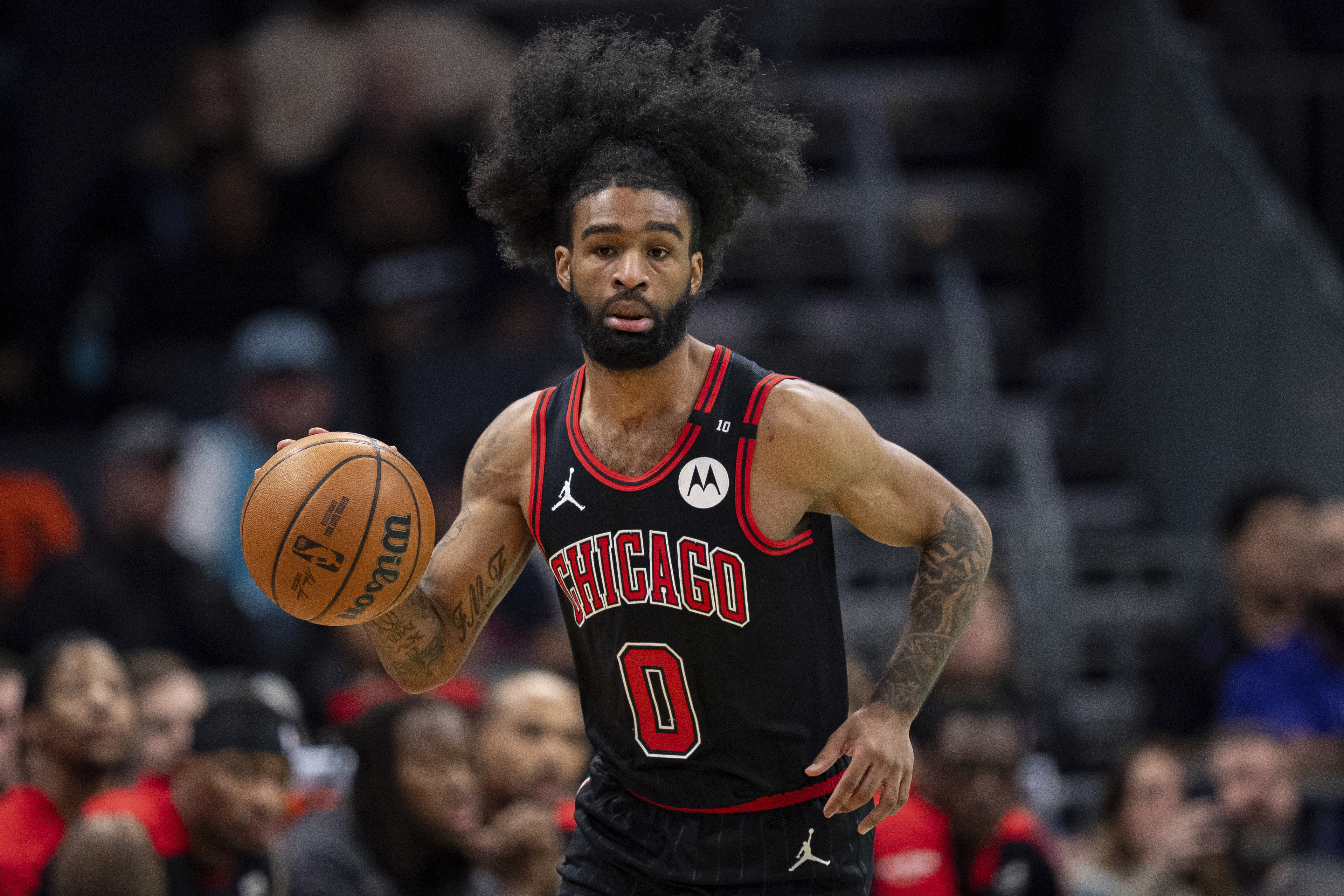 Chicago Bulls guard Coby White (0) brings the ball upcourt during the first half of an NBA basketball game against the Charlotte Hornets in Charlotte, N.C., Monday, Dec. 30, 2024.