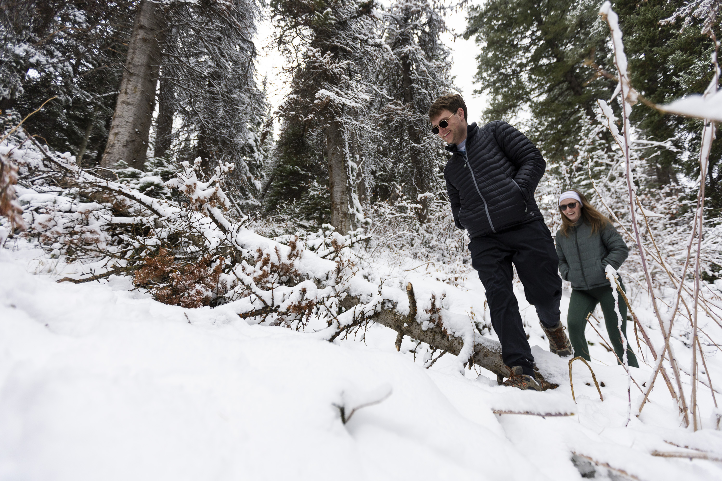 Hikers step over a snow-covered fallen tree as they traverse Donut Falls Trail in Big Cottonwood Canyon on Nov. 3. Utah's snowpack jumped to over 90% of the median average at the end of 2024.