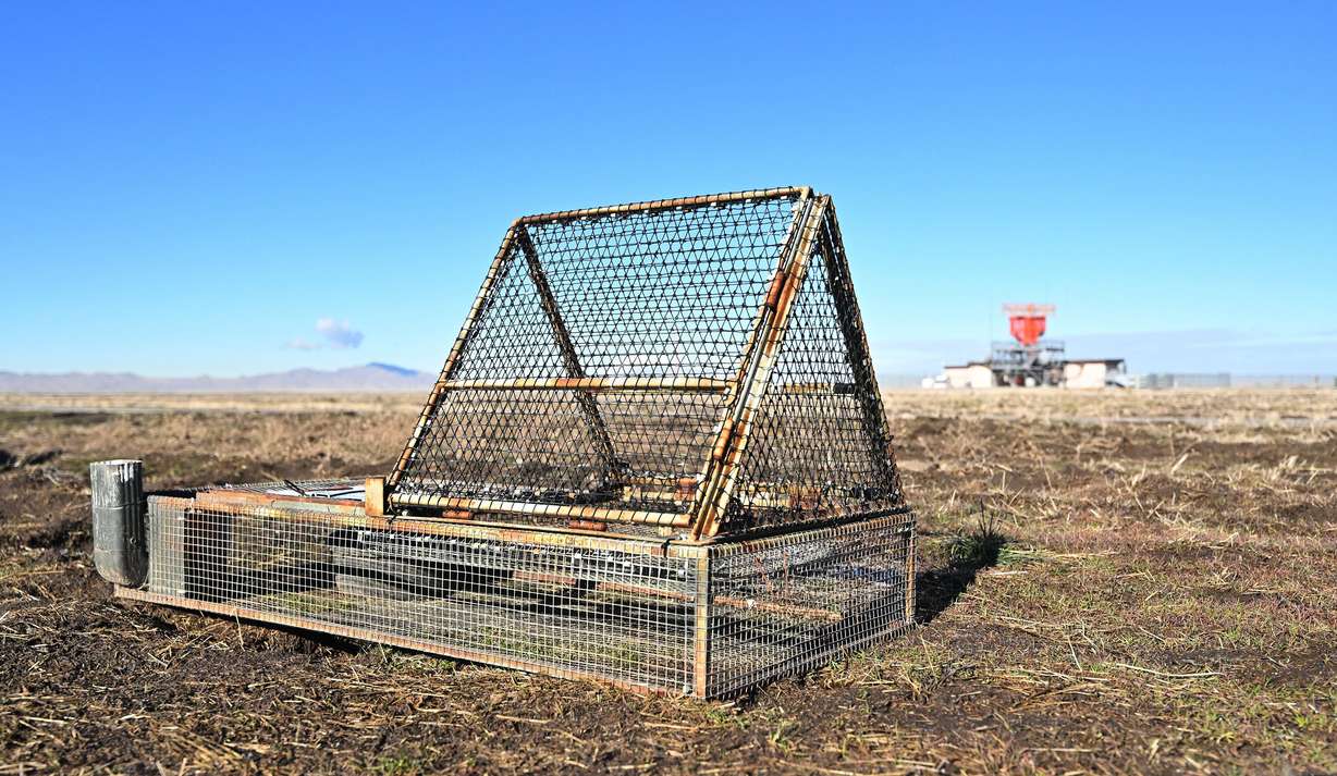 A trap that is in the active space of the airport as the wildlife mitigation team shows some of their ways of minimizing bird strikes at the Salt Lake City International Airport on Tuesday.