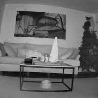 Have You Seen This? How the cat stole Christmas