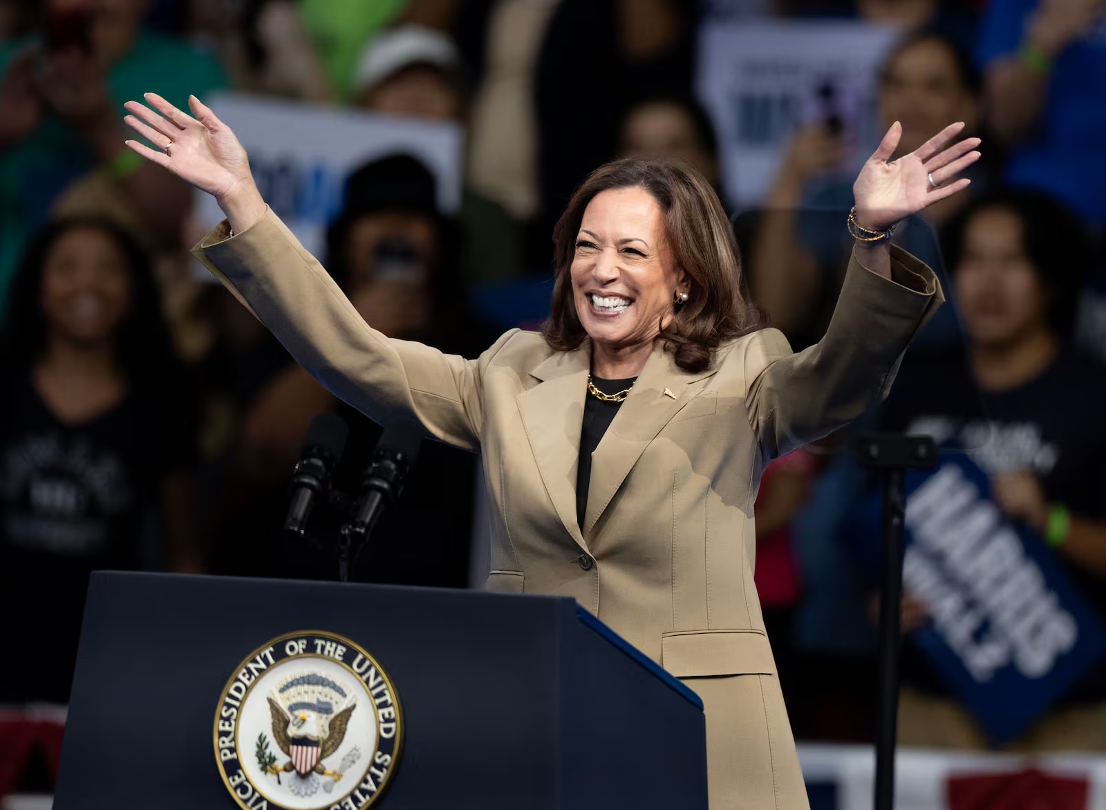 5 political memes that went viral in 2024