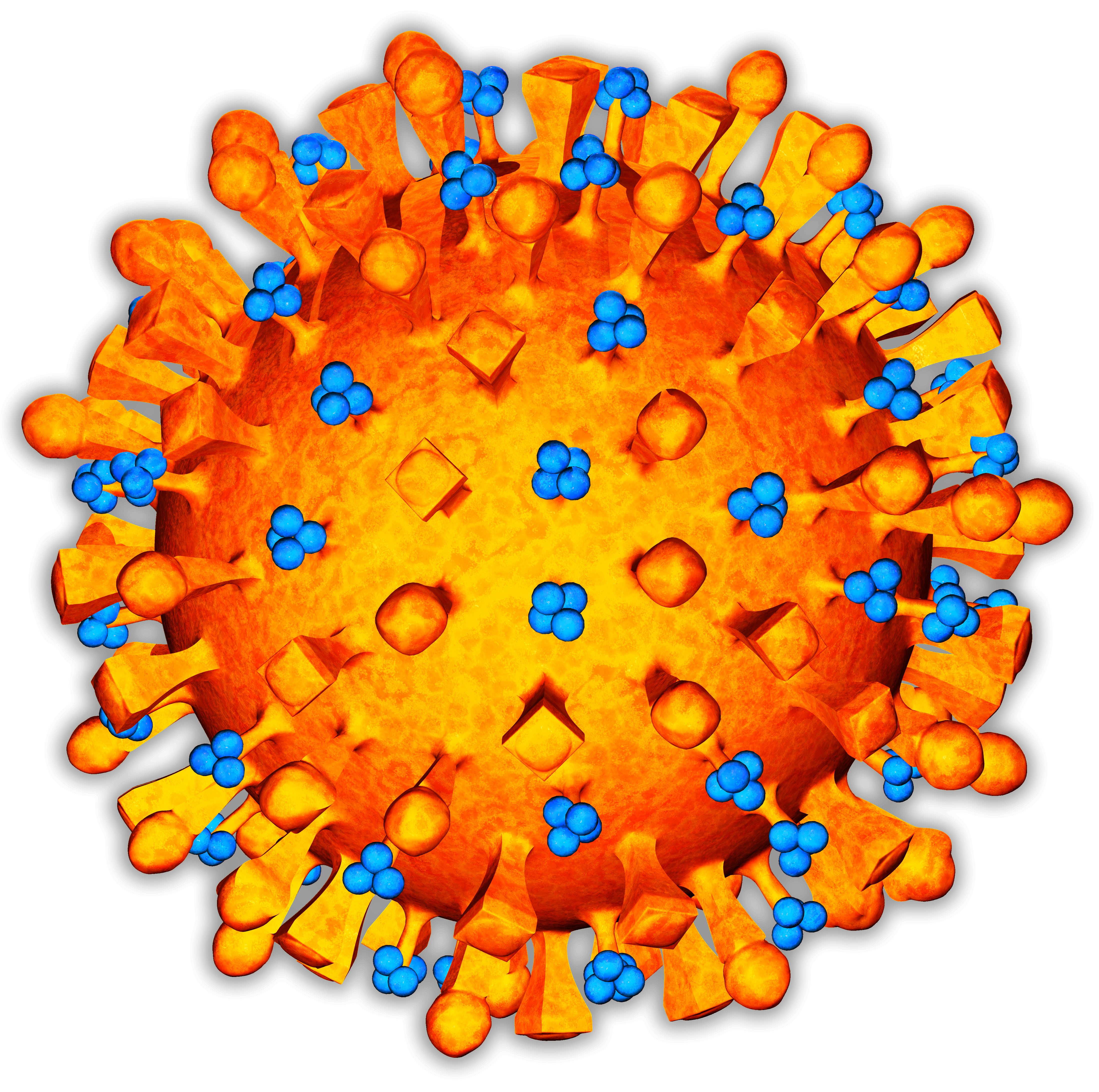 The H5N1 virus that has been wreaking havoc nationally. It has recently shown signs of possibly mutating.