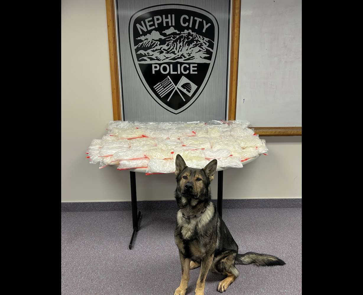 Nephi police K-9 Grizz sits in front of over 100 pounds of meth he helped discover in the vehicle traveling through Utah Friday. Grizz, police say, has been instrumental in helping seize over 250 pounds of narcotics since his acquisition in January 2023.