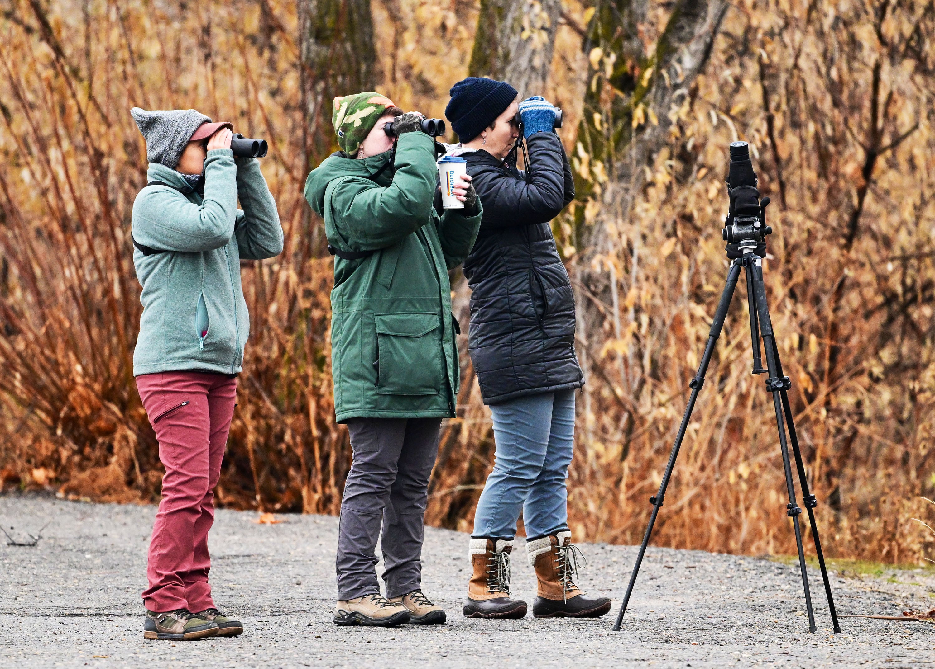 Keeping track of the birds is a Christmas tradition