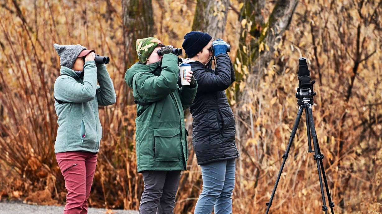 Kenley Gottlob, Sam Phillips of Elko, Nev., and Keeli Marvel search for birds as they and several other bird-watchers gather in Payson to participate in the annual Christmas Bird Count on Dec. 28, 2024.