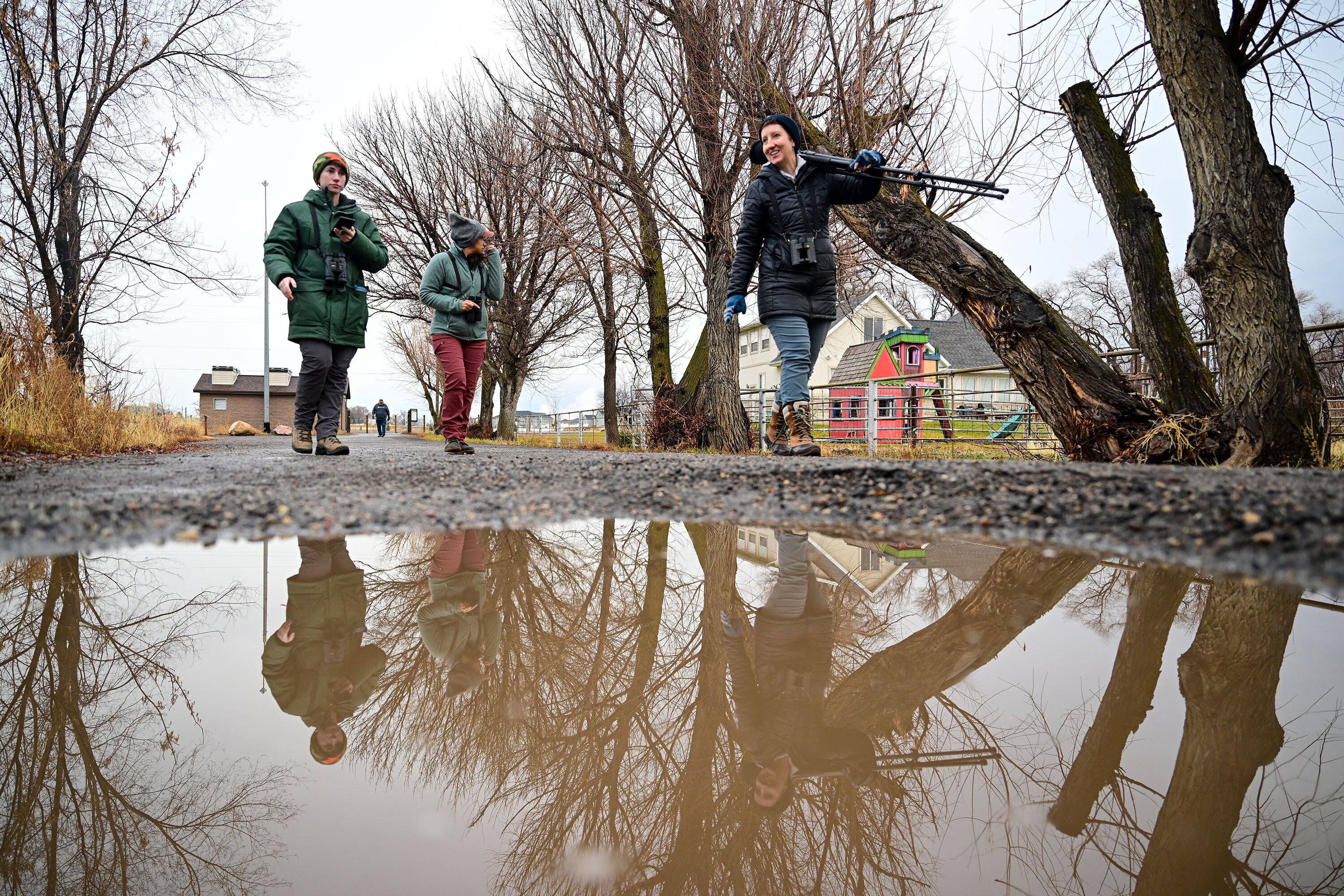 Sam Phillips of Elko, Nev., Kenley Gottlob and Keeli Marvel search for birds as they and several other bird-watchers gather in Payson to participate in the annual Christmas Bird Count on Dec. 28, 2024.