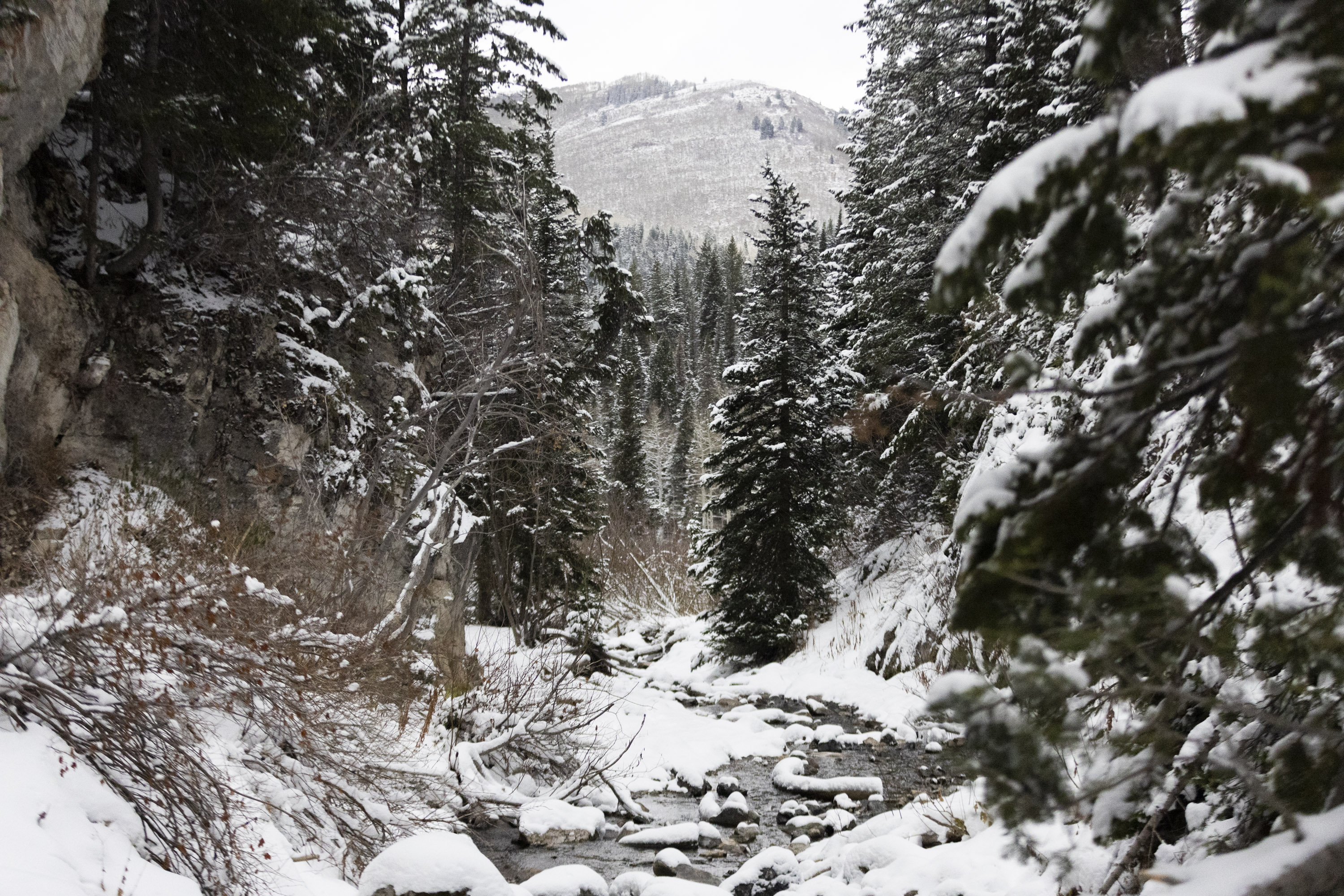 Drought, 'abnormally dry' conditions remain in Utah to start 2025. Here's why that matters