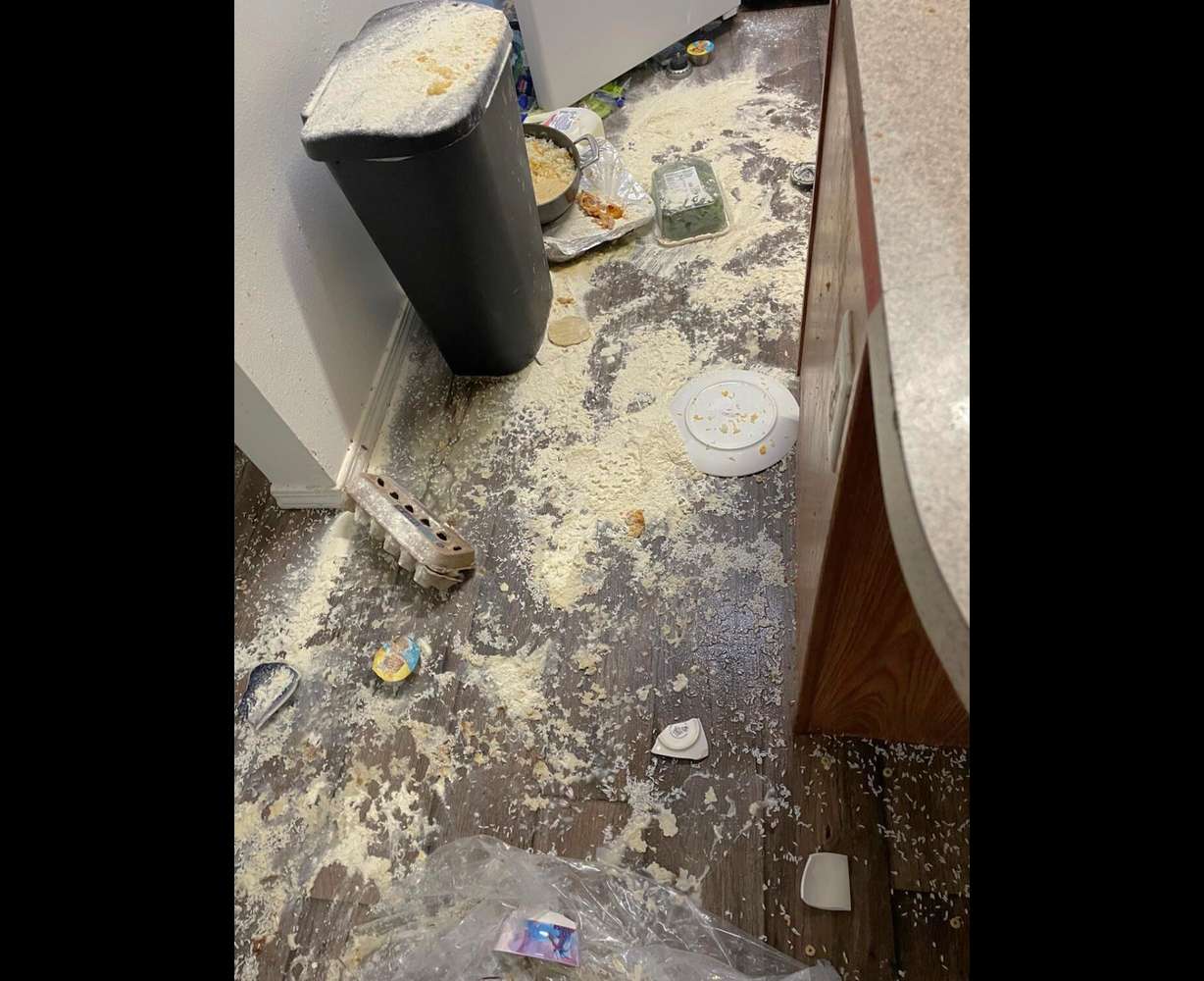 Cellphone pictures gathered by the Rivera family show the items they say Octavio William Higareda Ramirez threw around their kitchen on Monday in West Valley City.