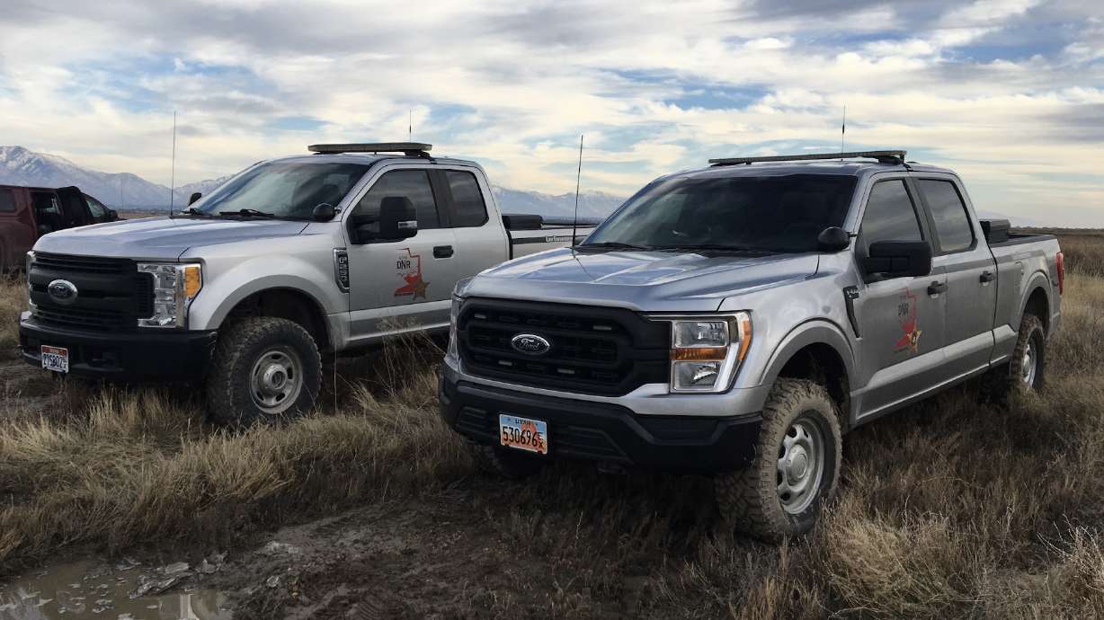 The Utah Division of Wildlife Resources reported Tuesday that overall poaching decreased by 5% across Utah last year, but there was a rise in the number of big game illegally killed.