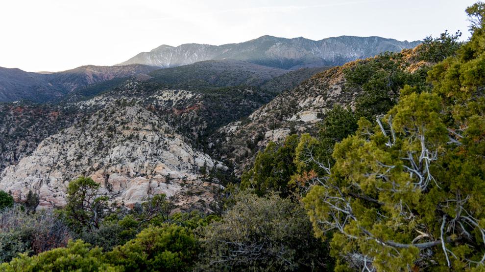 Proposed 200K-acre project aims to reduce 'intense wildfires' in southern Utah