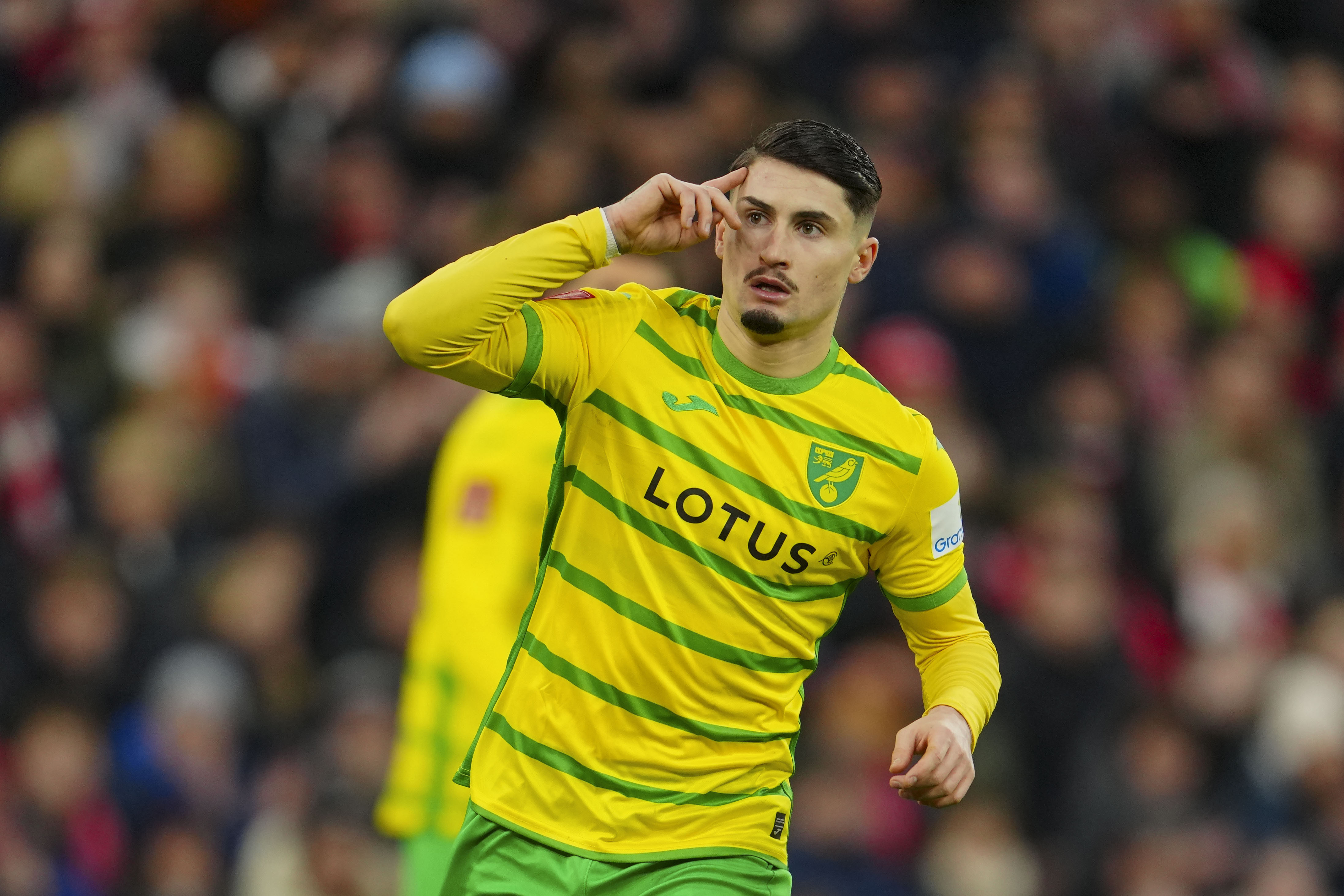 Norwich winger Borja Sainz gets 6-game ban for spitting at opponent