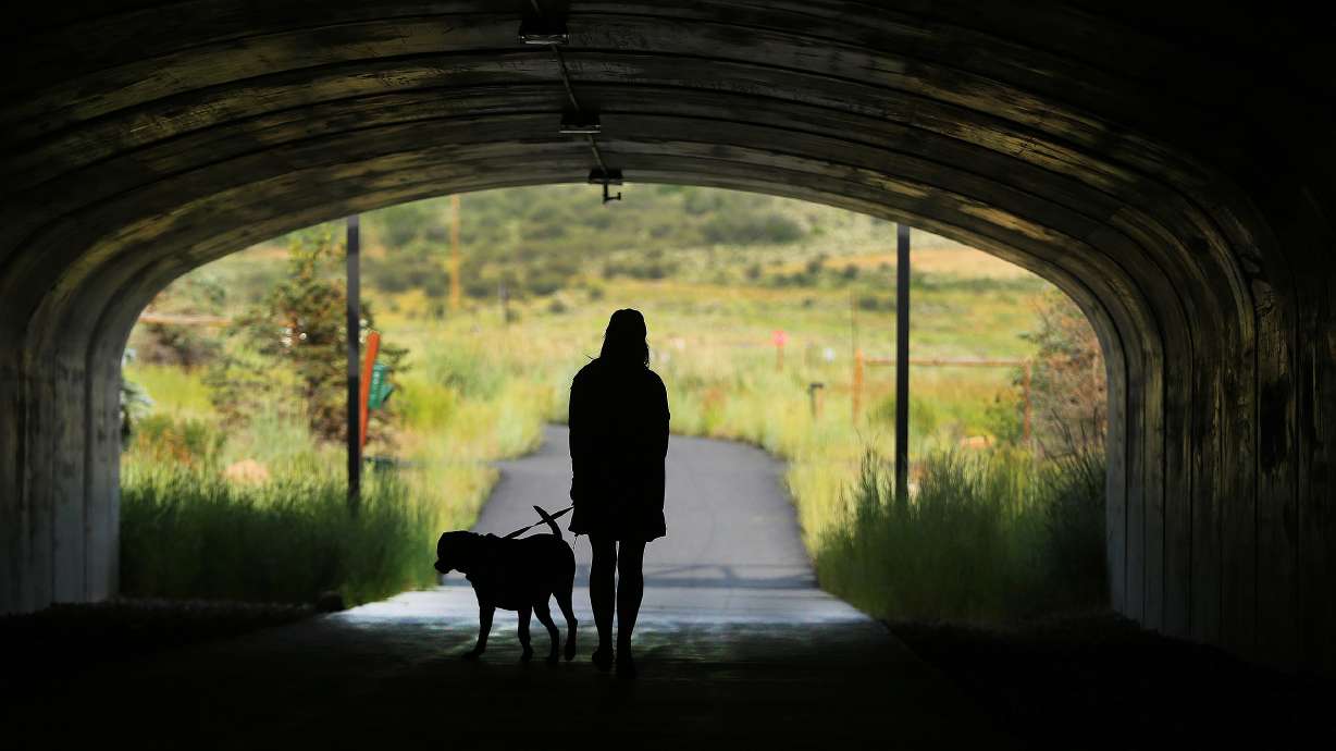 A dog is walked on Millennium Trail in Park City on July 2, 2017. Some local social service leaders hope dog walking will help folks struggling with substance abuse provide service and also get some exercise with a new program.