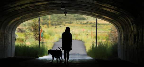 Crisis no longer means added stress about where pets stay