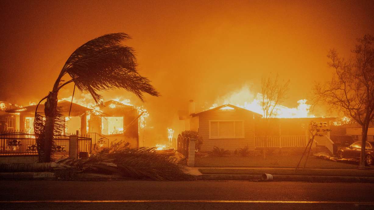 Trees sway in high winds as the Eaton Fire burns structures, Jan. 8 in Altadena, Calif. The Santa Ana winds are expected to pick up again this week, making the Palisades and Eaton fires, among others, more difficult to contain.