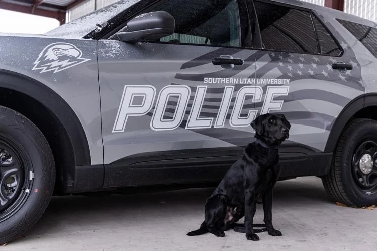 K-9 officer 'Thunder' joins Southern Utah University's police force