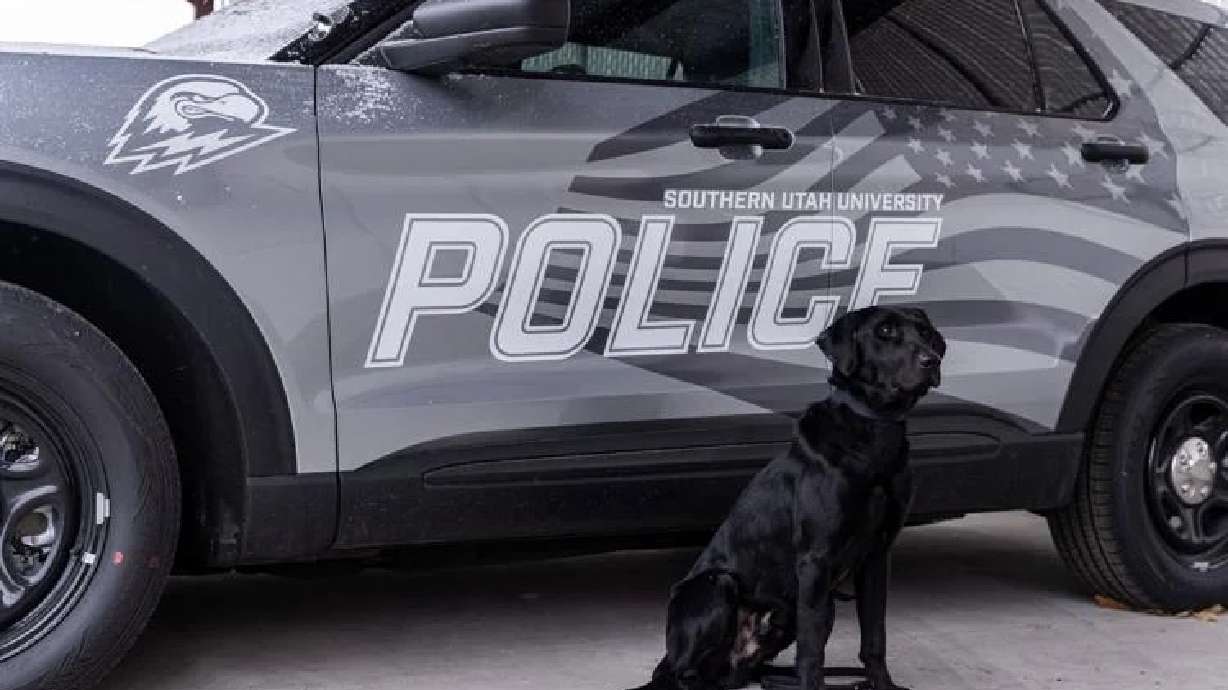 The newest addition to the Southern Utah University Police force is a young black Labrador named Thunder.