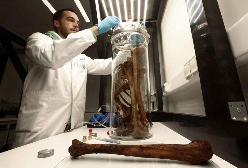 Scientist bottles smell of bones to help solve cold cases