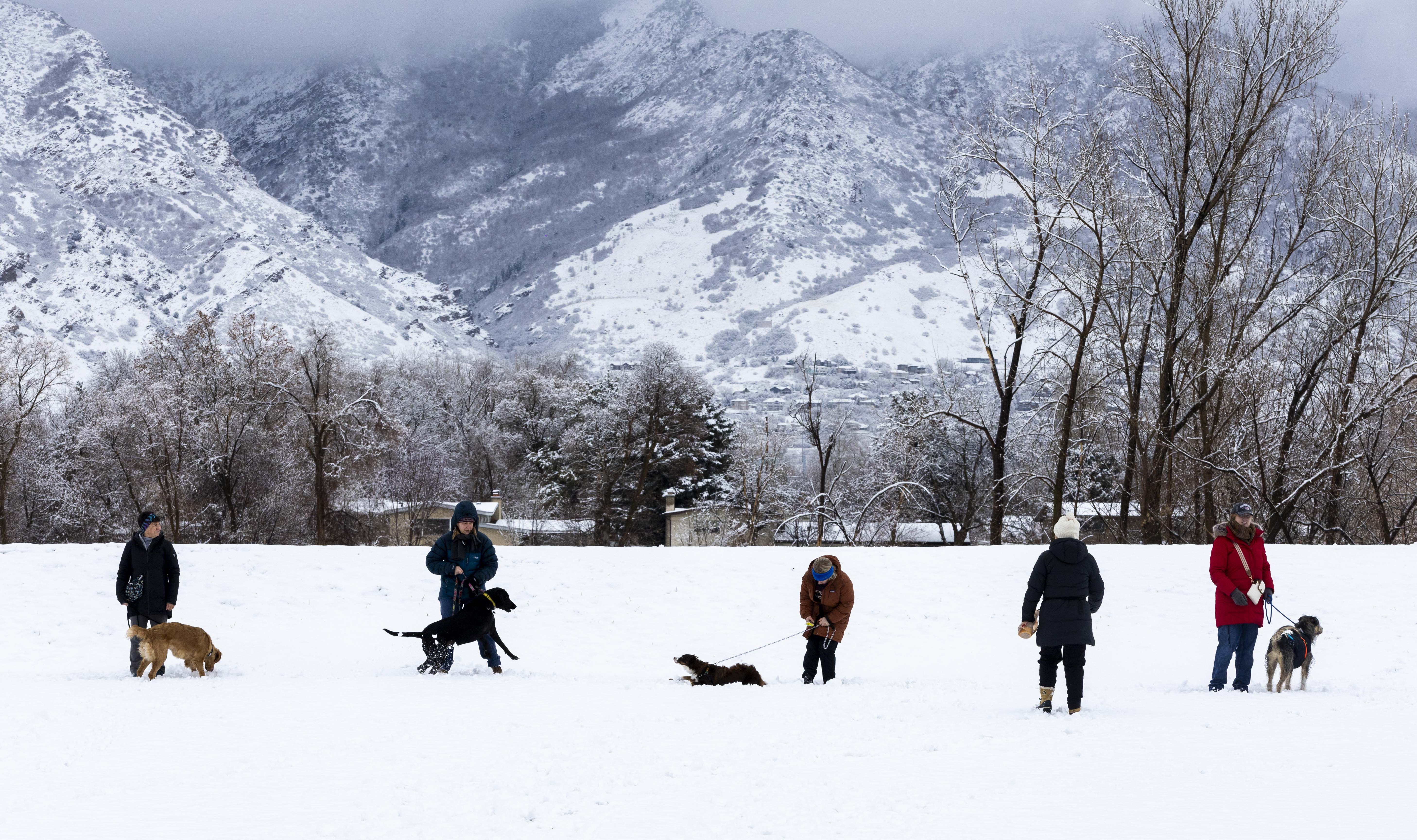 Certified professional dog trainer Josie Byer, second from right, leads Echo Dog Training at Wheeler Historic Park in Murray on Jan. 4. More snow is expected this weekend, but colder temperatures are the biggest impact of the storm.