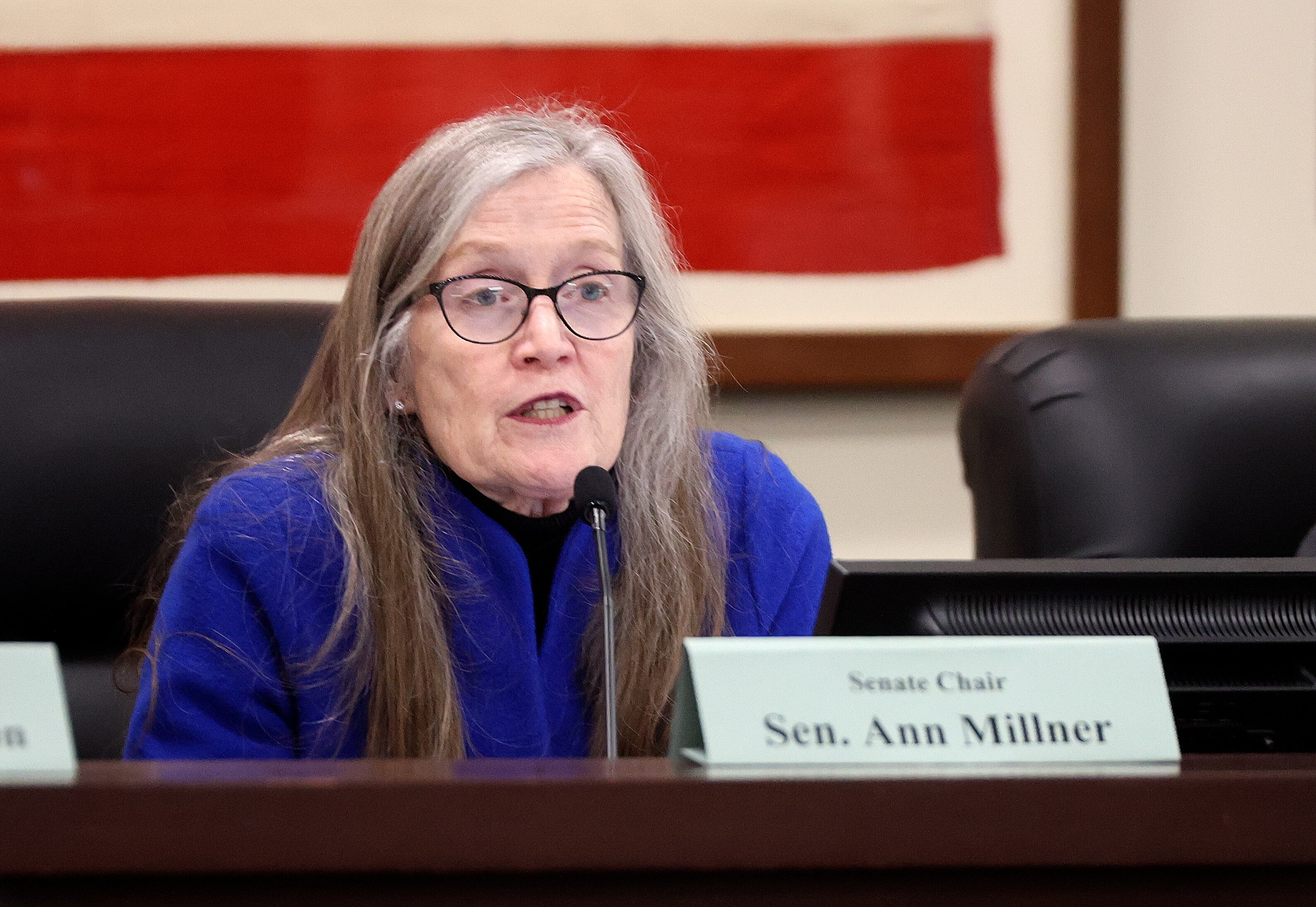 Sen. Ann Millner, R-Ogden, asks a question about the higher education budget during a meeting with the Higher Education Appropriations Subcommittee in the Senate Building in Salt Lake City on Thursday.