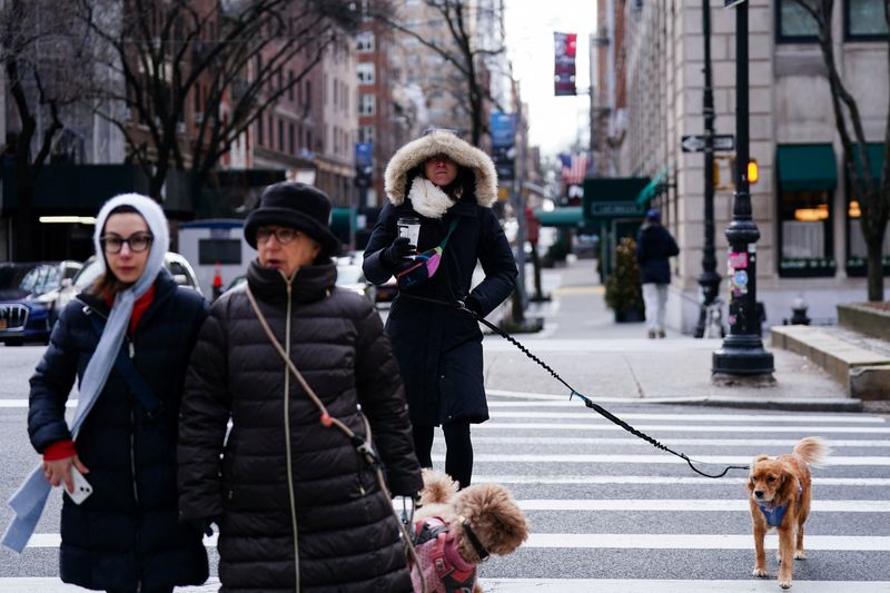 New Yorkers may be allowed to use paid sick leave to look after pets