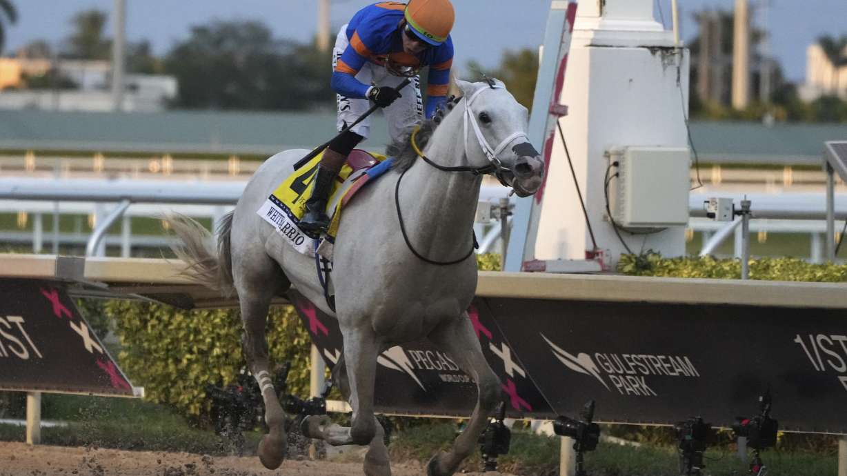 CORRECTS TO WHITE ABARRIO NOT WHITE ALBARRIO - White Abarrio, ridden by Irad Ortiz Jr., crosses the finish line to win the Pegasus World Cup horse race at Gulfstream Park, Saturday, Jan. 25, 2025, in Hallandale Beach, Fla.