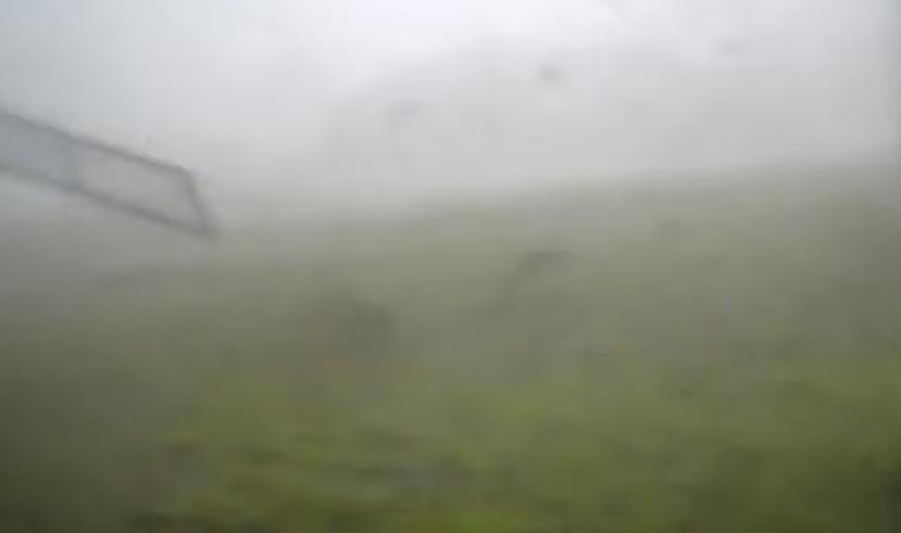 Have You Seen This? Trail camera captures a tornado's wrath