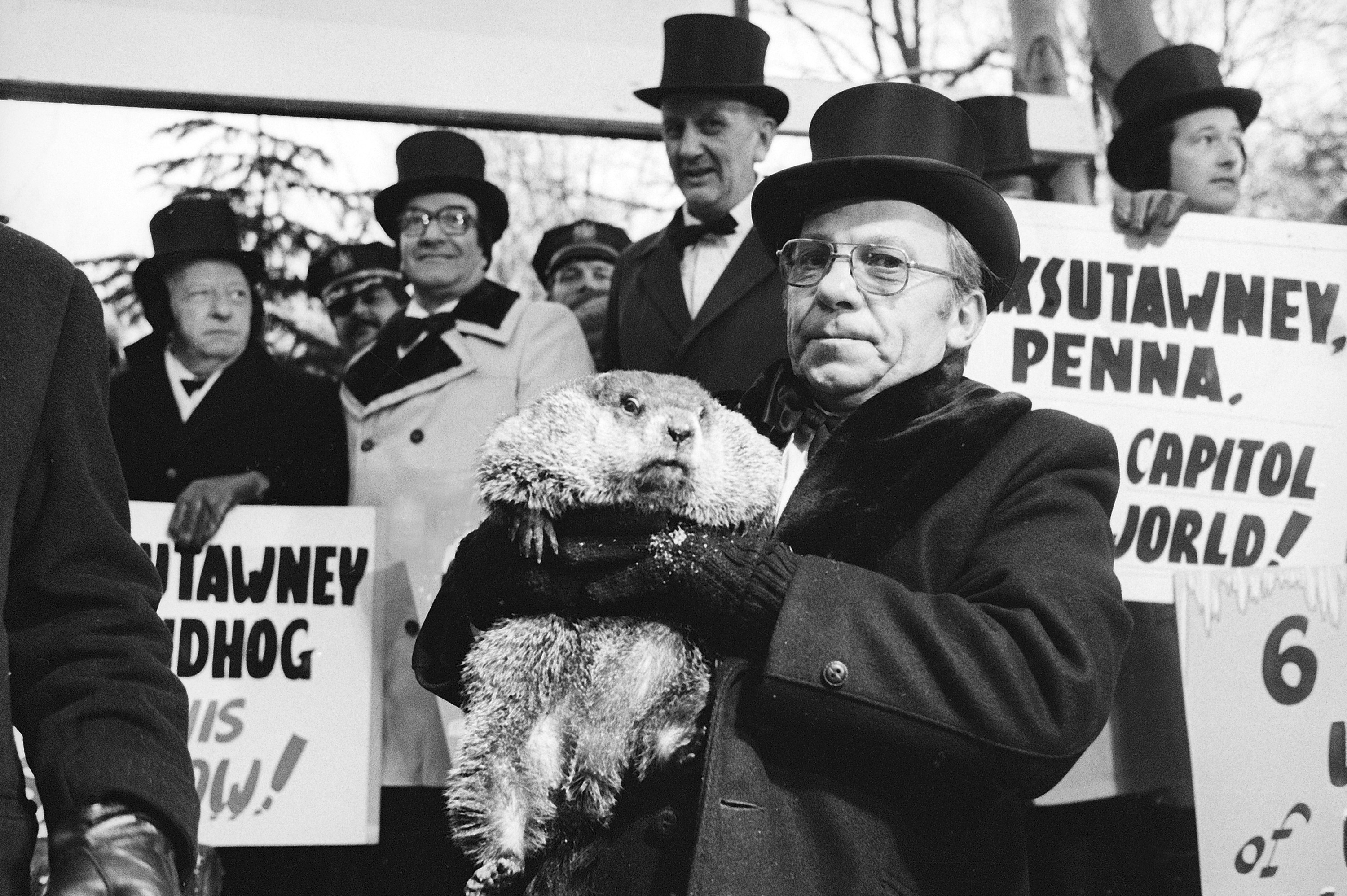 Jim Means holds up Punxsutawney Phil at daybreak, Feb. 2, 1980, in Punxsutawney, Penn., in front of a crowd of anxious people.