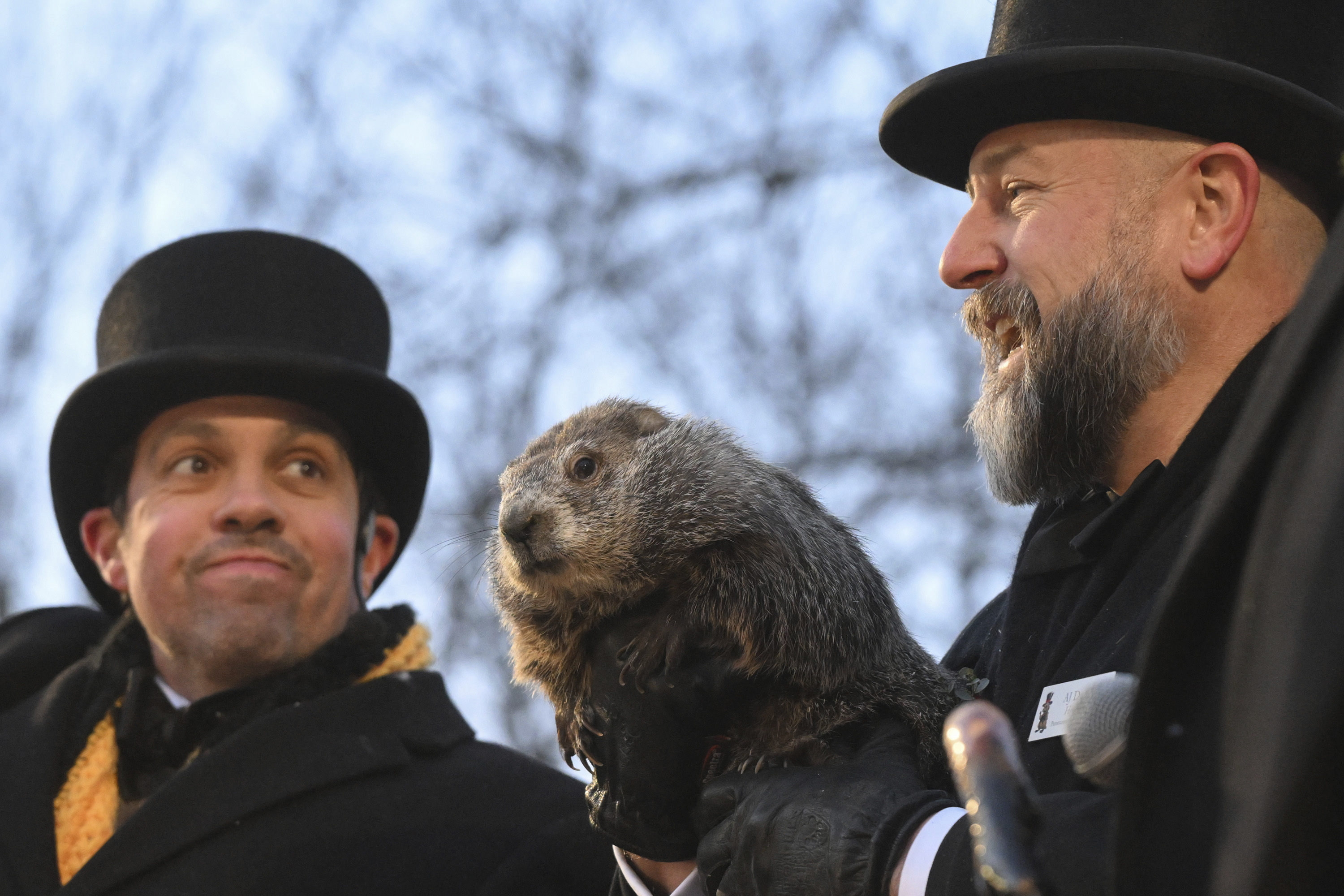 Punxsutawney Phil sees his shadow, handlers say, predicting 6 more weeks of wintry weather